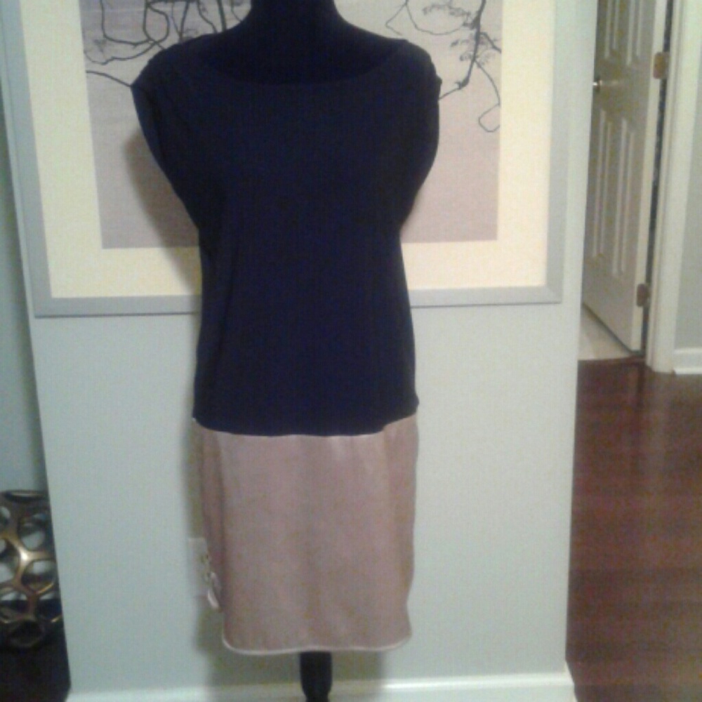 The Limited Little Black and Gold Dress